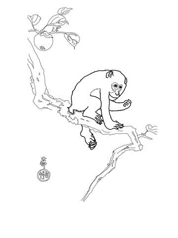 Snow Monkey On The Tree By Ohara Koson Coloring Page